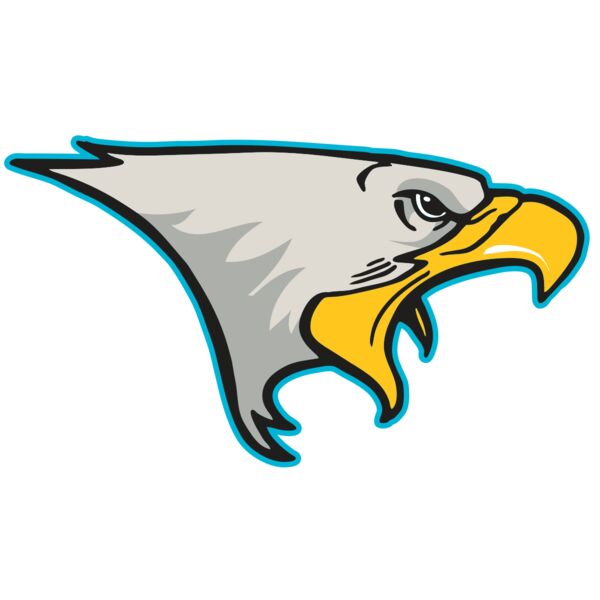 AR14 EAGLE FBALL 01 RQC Thumbnail