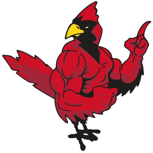 AR CARDINAL 27 RC Thumbnail