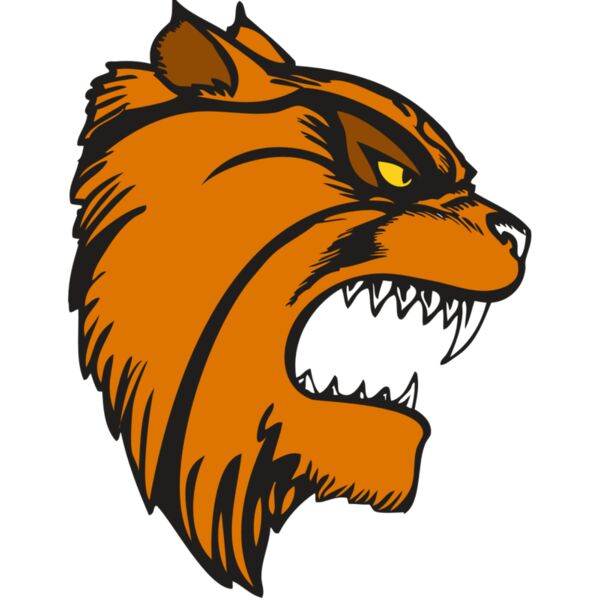 BAW WILDCAT 08 RC Thumbnail