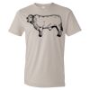 Organic Lightweight T-Shirt Thumbnail