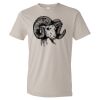 Organic Lightweight T-Shirt Thumbnail