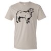 Organic Lightweight T-Shirt Thumbnail
