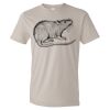 Organic Lightweight T-Shirt Thumbnail