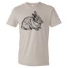 Organic Lightweight T-Shirt Thumbnail