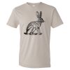 Organic Lightweight T-Shirt Thumbnail