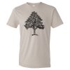 Organic Lightweight T-Shirt Thumbnail