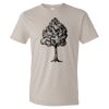 Organic Lightweight T-Shirt Thumbnail