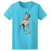 Women’s Midweight T-Shirt Thumbnail
