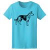 Women’s Midweight T-Shirt Thumbnail