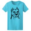 Women’s Midweight T-Shirt Thumbnail