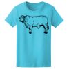 Women’s Midweight T-Shirt Thumbnail
