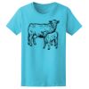 Women’s Midweight T-Shirt Thumbnail