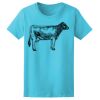 Women’s Midweight T-Shirt Thumbnail