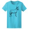 Women’s Midweight T-Shirt Thumbnail
