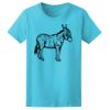Women’s Midweight T-Shirt Thumbnail