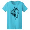 Women’s Midweight T-Shirt Thumbnail