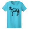 Women’s Midweight T-Shirt Thumbnail