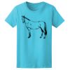 Women’s Midweight T-Shirt Thumbnail