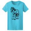 Women’s Midweight T-Shirt Thumbnail