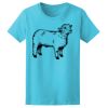 Women’s Midweight T-Shirt Thumbnail