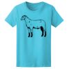 Women’s Midweight T-Shirt Thumbnail