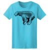Women’s Midweight T-Shirt Thumbnail