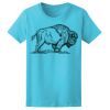 Women’s Midweight T-Shirt Thumbnail
