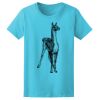 Women’s Midweight T-Shirt Thumbnail
