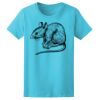 Women’s Midweight T-Shirt Thumbnail