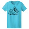 Women’s Midweight T-Shirt Thumbnail