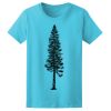 Women’s Midweight T-Shirt Thumbnail