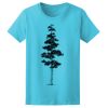Women’s Midweight T-Shirt Thumbnail