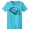 Women’s Midweight T-Shirt Thumbnail