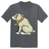 The Concert Tee ® Thumbnail