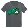 The Concert Tee ® Thumbnail