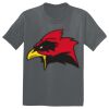 The Concert Tee ® Thumbnail