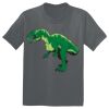 The Concert Tee ® Thumbnail
