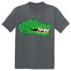 The Concert Tee ® Thumbnail