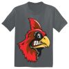The Concert Tee ® Thumbnail