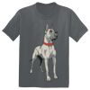 The Concert Tee ® Thumbnail