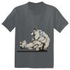 The Concert Tee ® Thumbnail