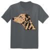 The Concert Tee ® Thumbnail