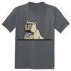The Concert Tee ® Thumbnail