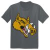 The Concert Tee ® Thumbnail