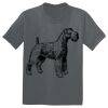 The Concert Tee ® Thumbnail