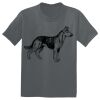 The Concert Tee ® Thumbnail