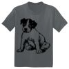 The Concert Tee ® Thumbnail