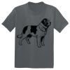 The Concert Tee ® Thumbnail
