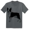 The Concert Tee ® Thumbnail