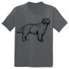 The Concert Tee ® Thumbnail